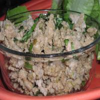 Thai-Style Ground Turkey With Chiles and Basil image