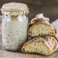 No Yeast? No Problem! Here's How to Make Sourdough Bread Starter Without Yeast_image