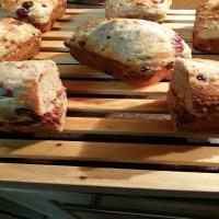Cranberry Chocolate Chip Muffins image