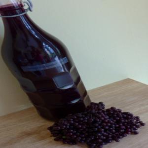 Medicinal Elderberry Syrup_image