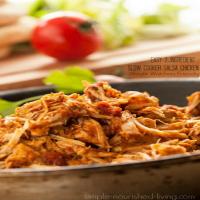 2-Ingredient Slow Cooker Salsa Chicken Recipe - (4.5/5)_image