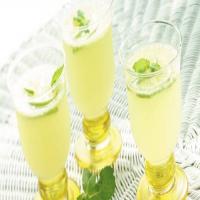 Kiwi-Lime-Rum Slush image