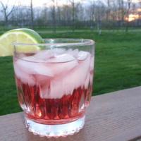 Cape Cod and White Zinfandel_image