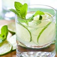 Cucumber Gimlet PRINT Recipe - (4.5/5)_image