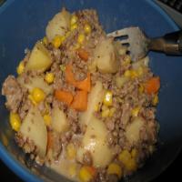 Crock Pot Hamburger 'n Potato Casserole_image