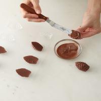 Milk-Chocolate Pine Cones image