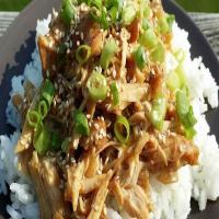 Simply Delicious Slow Cooker Teriyaki Chicken_image