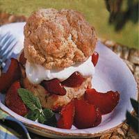 Oatmeal Shortcakes with Spiced Plums_image