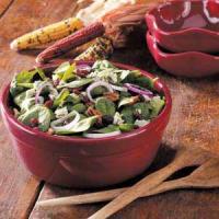 Cranberry Pecan Spinach Salad_image