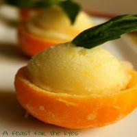 Meyer Lemon-Basil Sorbet Recipe - (4.4/5)_image