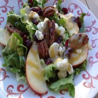 Apple, Pecan, and Blue Cheese Salad With Dried Cherries image