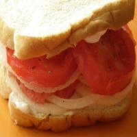 Tomato and Onion Sandwich image