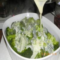 Gratin of Broccoli in Bechamel image