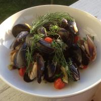 Mussels in a Fennel and White Wine Broth_image