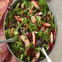 Apple-Cranberry Salad Toss_image