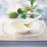 Chilled Fennel and Leek Soup image