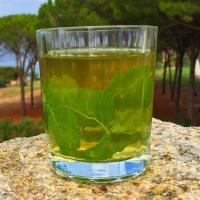 Citrus-Honey Green Tea image