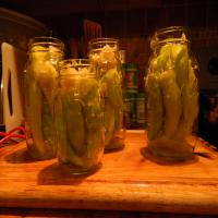 Cabbage Stuffed Hot Banana Peppers - Canning image