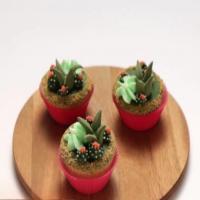 Champagne Cupcakes image
