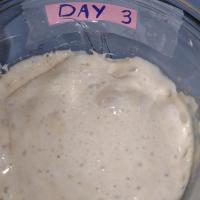 No Commercial Yeast Starter_image
