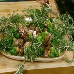 Rosemary Skewers of Shiitake Mushroom, Broccoli and Garlic Cloves image