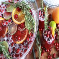 Easy Holiday Punch_image