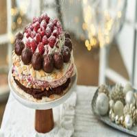 Almond Meringue & Chocolate-Raspberry Torte_image