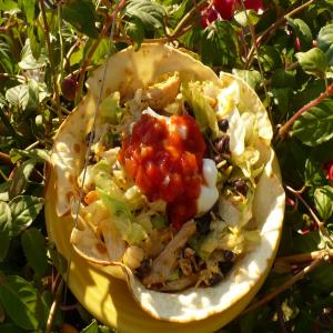 Bean and Chicken Taco Salad_image