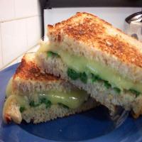 Spinach and Havarti Sandwiches on Multigrain Bread image