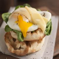 Eggs Florentine Sandwich image