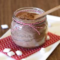 dairy free hot cocoa mix_image