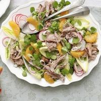 Shredded duck, watercress & orange salad image