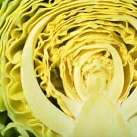 Pan Fried Cabbage_image