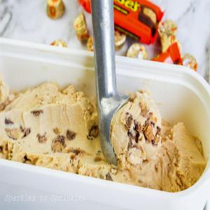 Peanut Butter Cup Ice Cream_image