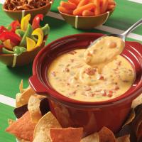 Queso Dip for a Crowd_image