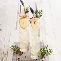 Lavender-Pink Peppercorn Vodka Sodas image
