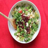 Apple Salad With Cranberry Vinaigrette image