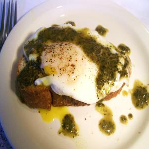 Poached Eggs and Parmesan Cheese over Toasted Brioche W/ Pistou image