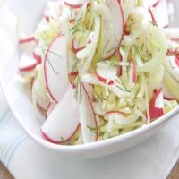 Crisp Fennel and Radish Salad_image