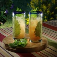 Asian Pear Cocktail_image