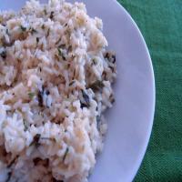 Simmered Italian Rice_image