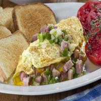 The World's Best Western Omelet_image