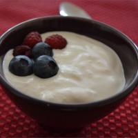 Authentic Homemade Yogurt_image
