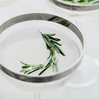 Rosemary Vodka Gimlet_image