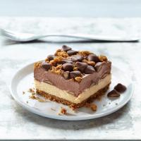 No-Bake Dessert with Chocolate, Gingersnap and Peanut Butter Filled DelightFulls image