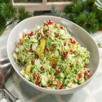 Shaved Brussels Sprouts with Pomegranate Orange Vinaigrette and Pecans image
