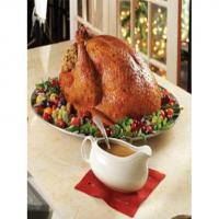 Classic Roasted Turkey with Pan Gravy_image