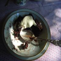 Another Dump Cake_image
