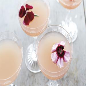 Lillet Rose Spring Cocktail image