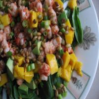 Caribbean Shrimp Salad With Lime Vinaigrette_image